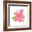 Pink Hibiscus-Nola James-Framed Art Print