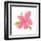 Pink Hibiscus-Nola James-Framed Art Print