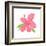 Pink Hibiscus-Nola James-Framed Art Print