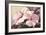 Pink Hibiscus-Lea Faucher-Framed Art Print