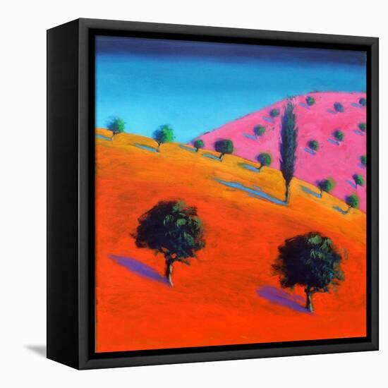 Pink Hill-Paul Powis-Framed Premier Image Canvas