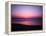 Pink Horizon-Josh Adamski-Framed Premier Image Canvas