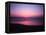 Pink Horizon-Josh Adamski-Framed Premier Image Canvas