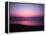 Pink Horizon-Josh Adamski-Framed Premier Image Canvas