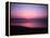 Pink Horizon-Josh Adamski-Framed Premier Image Canvas