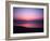 Pink Horizon-Josh Adamski-Framed Photographic Print