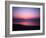 Pink Horizon-Josh Adamski-Framed Photographic Print