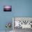 Pink Horizon-Josh Adamski-Mounted Photographic Print displayed on a wall