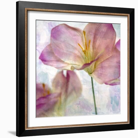 Pink Hyacinth II-Honey Malek-Framed Art Print