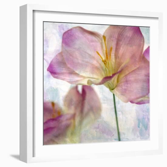 Pink Hyacinth II-Honey Malek-Framed Art Print