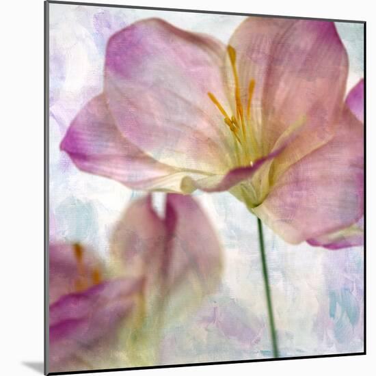 Pink Hyacinth II-Honey Malek-Mounted Art Print