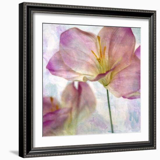 Pink Hyacinth II-Honey Malek-Framed Art Print