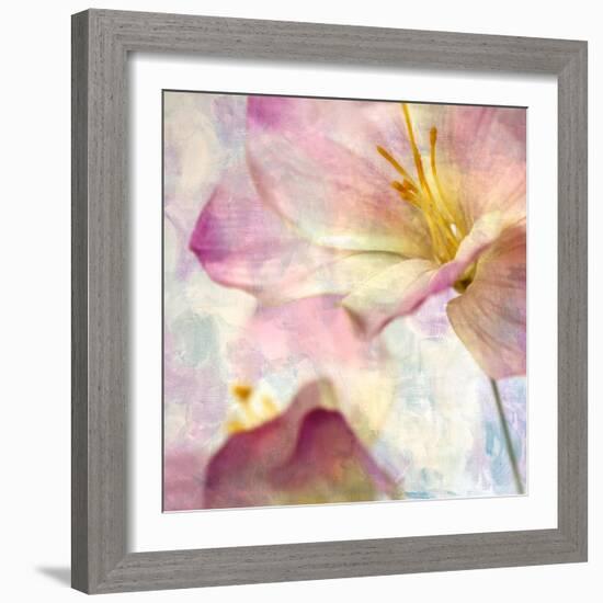 Pink Hyacinth V-Honey Malek-Framed Art Print