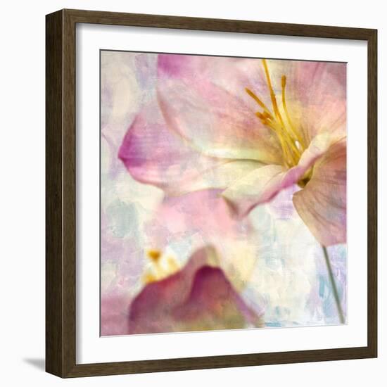 Pink Hyacinth V-Honey Malek-Framed Premium Giclee Print