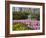 Pink Hyacinths and Daffodils, Keukenhof, Park and Gardens Near Amsterdam, Netherlands, Europe-Amanda Hall-Framed Photographic Print