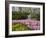 Pink Hyacinths and Daffodils, Keukenhof, Park and Gardens Near Amsterdam, Netherlands, Europe-Amanda Hall-Framed Photographic Print