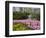 Pink Hyacinths and Daffodils, Keukenhof, Park and Gardens Near Amsterdam, Netherlands, Europe-Amanda Hall-Framed Photographic Print