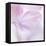 Pink Hydrangea I-Kathy Mahan-Framed Premier Image Canvas