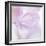 Pink Hydrangea I-Kathy Mahan-Framed Photographic Print