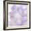 Pink Hydrangea II-Kathy Mahan-Framed Photographic Print