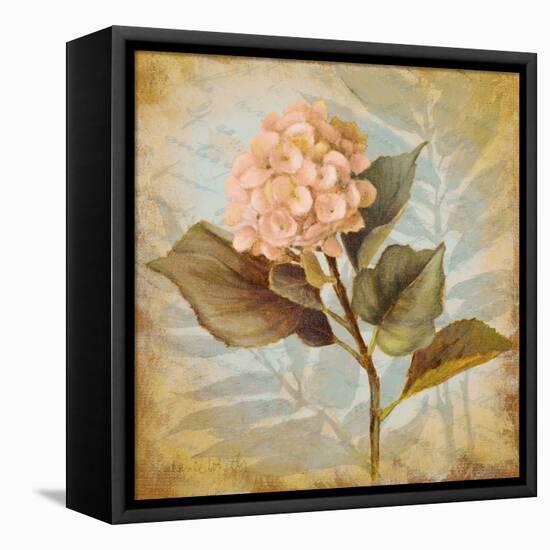 Pink Hydrangea Portrait-Lanie Loreth-Framed Stretched Canvas