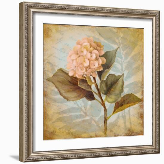 Pink Hydrangea Portrait-Lanie Loreth-Framed Art Print