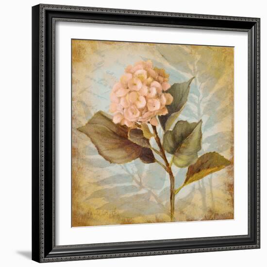 Pink Hydrangea Portrait-Lanie Loreth-Framed Art Print