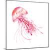 Pink Jellyfish-Sara Berrenson-Mounted Art Print