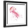 Pink Jellyfish-Sara Berrenson-Framed Art Print