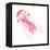 Pink Jellyfish-Sara Berrenson-Framed Stretched Canvas