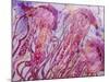 Pink Jellyfish-Lauren Moss-Mounted Giclee Print