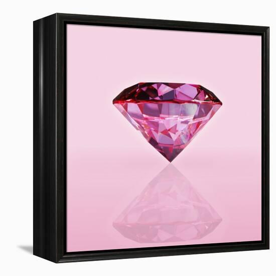 Pink Jewel-null-Framed Premier Image Canvas