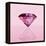 Pink Jewel-null-Framed Premier Image Canvas