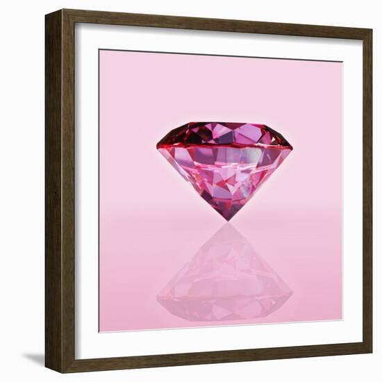 Pink Jewel-null-Framed Photographic Print