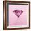 Pink Jewel-null-Framed Photographic Print