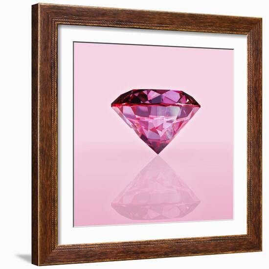 Pink Jewel-null-Framed Photographic Print