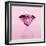 Pink Jewel-null-Framed Photographic Print