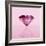 Pink Jewel-null-Framed Photographic Print