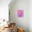 Pink Kiss-Abstract Graffiti-Giclee Print displayed on a wall