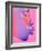 Pink Kiss-Abstract Graffiti-Framed Giclee Print