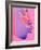 Pink Kiss-Abstract Graffiti-Framed Giclee Print