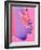 Pink Kiss-Abstract Graffiti-Framed Giclee Print