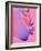 Pink Kiss-Abstract Graffiti-Framed Giclee Print