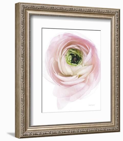 Pink Lady II-Elizabeth Urquhart-Framed Photo