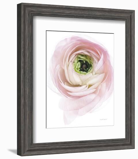 Pink Lady II-Elizabeth Urquhart-Framed Photo