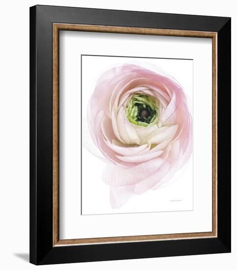 Pink Lady II-Elizabeth Urquhart-Framed Photo