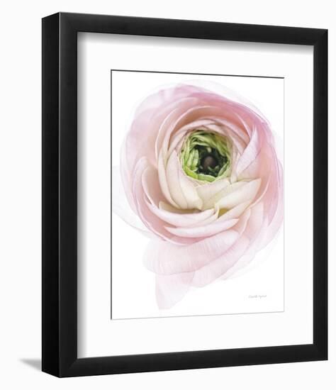 Pink Lady II-Elizabeth Urquhart-Framed Photo