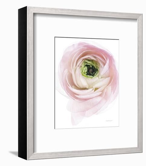 Pink Lady II-Elizabeth Urquhart-Framed Photo