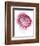 Pink Lady IV-Elizabeth Urquhart-Framed Photo