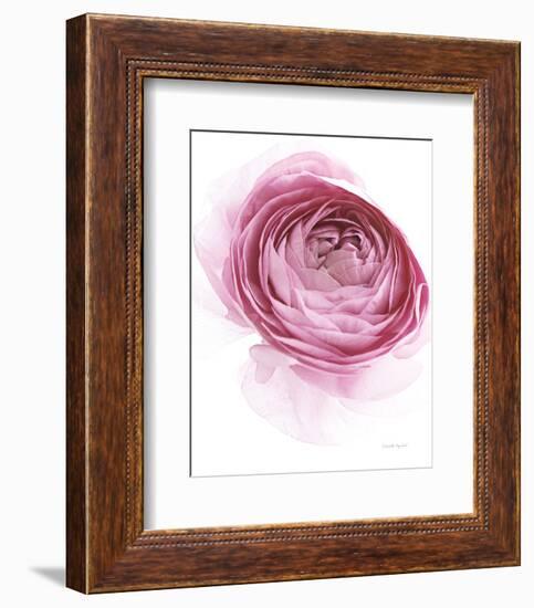 Pink Lady IV-Elizabeth Urquhart-Framed Photo